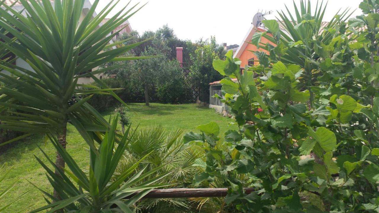 Casa Nanny Villetta Panoramica 哥斯达雷 外观 照片