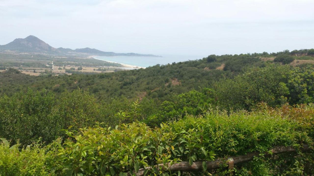 Casa Nanny Villetta Panoramica 哥斯达雷 外观 照片